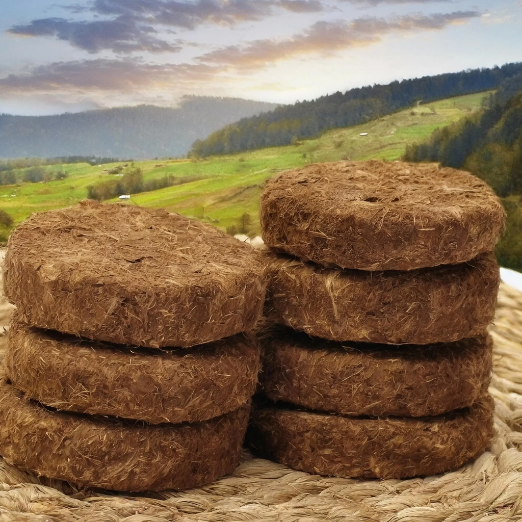 cow dung cake 3